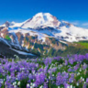 Meet your Posher, Itzhannah